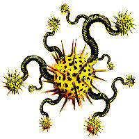 suppression-virus-chipset34